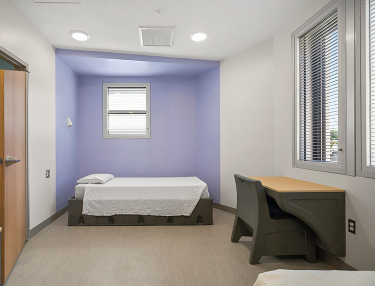 Vision Control® for Behavioral Health listed in NYS-OMH Patient Safety ...